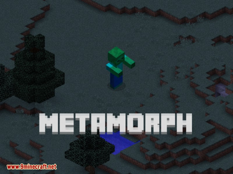 MetaMorph Mod 1